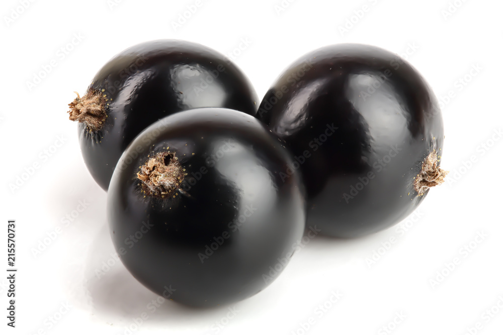 three black currant isolated on white background three black currant isolated on white background