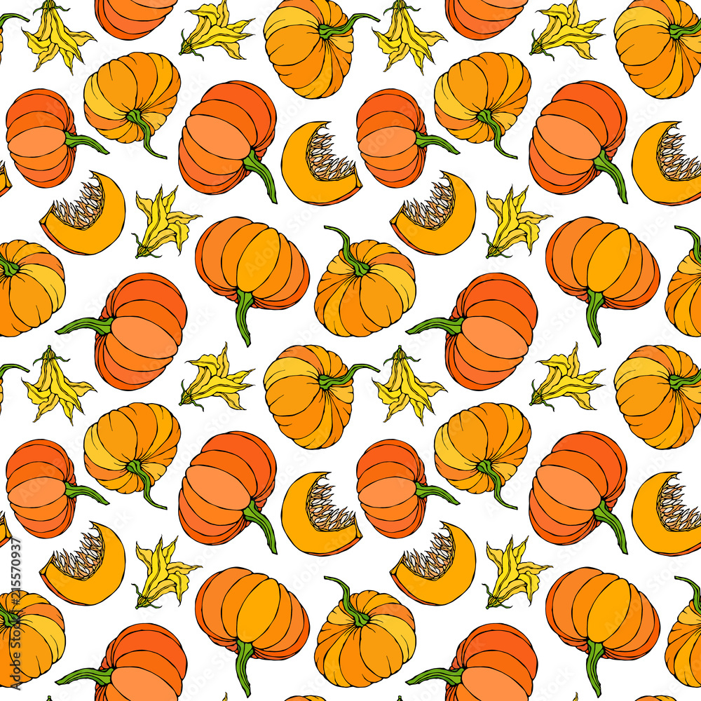 Seamless Endless Pattern of Pumpkin. Half of Whole Orange Pumpkins, Flower, Seeds. Autumn or Fall Vegetable Harvest Collection. Realistic Hand Drawn High Quality Vector Illustration. Doodle Style.
