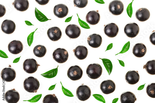 black currant with leaf isolated on white background. Top view. Flat lay pattern