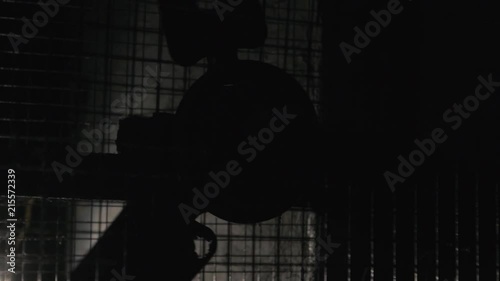 horror in a dark basement environment