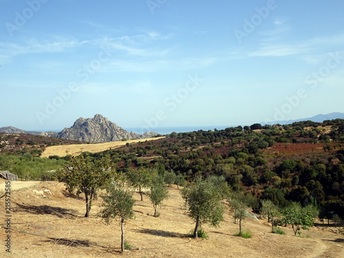 Corsica - Balagne region
