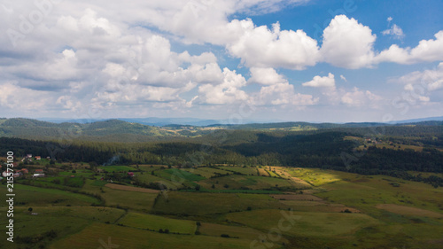 landscape of field and forest on sunny day 