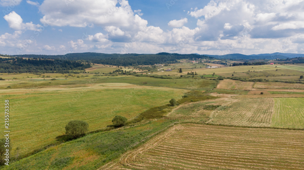 Fototapeta premium landscape of fields and mountains in distance on sunny day 