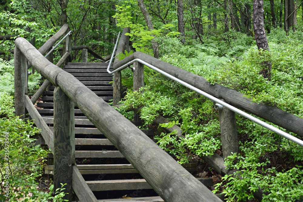 Wooden stairs leading from the Rimrock overlook in the Allegheny National forest Wooden stairs leading from the Rimrock overlook in the Allegheny National forest