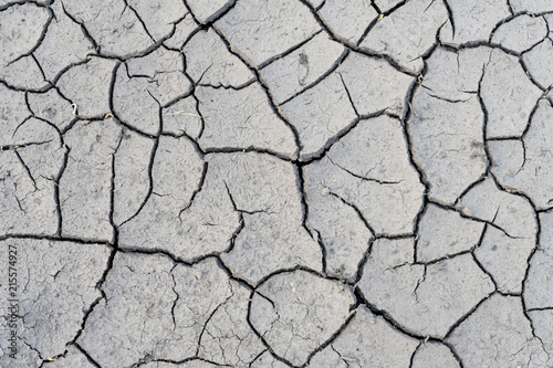 The soil cracked from the drought and the scorching sun.