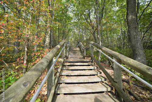 Stairs from the Rimrock overlook going back to the trail in the Allegheny National Forest