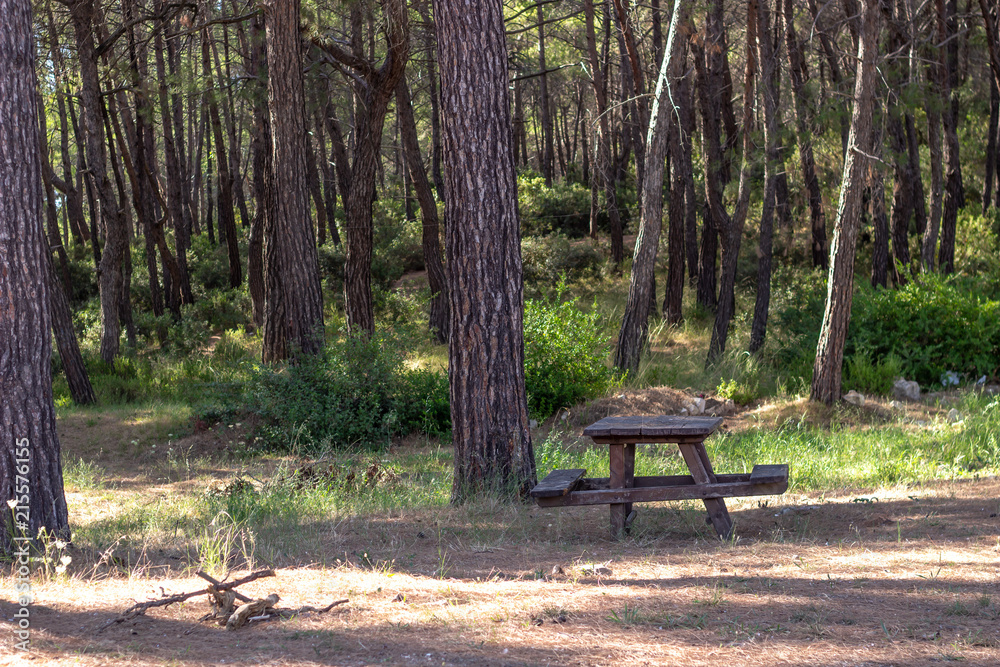 Wide shot of wooden picnic tables in forest with green beautiful background Wide shot of wooden picnic tables in forest with green beautiful background