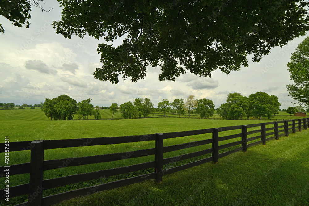 Green grassy field on side of road in Kentucky