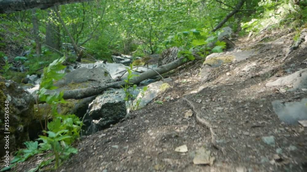 Slow motion moving shot reveals fast moving rapids in lush green forest along Seward Highway outside of Anchorage, Alaska. Slow motion moving shot reveals fast moving rapids in lush green forest along Seward Highway outside of Anchorage, Alaska.