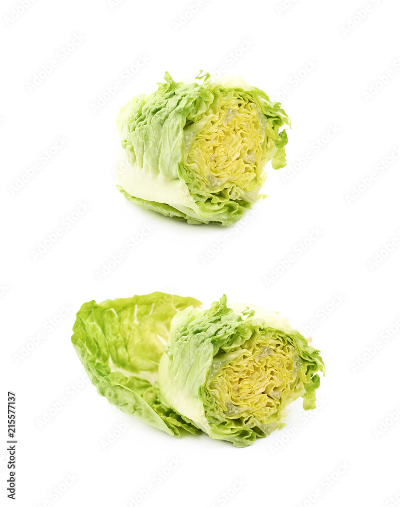 Little gem salat isolated Little gem salat isolated