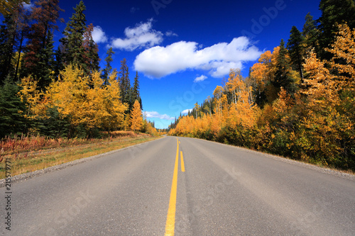 A road trip through autumn colors.