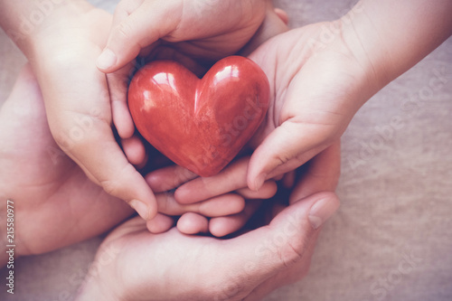 Fototapeta Naklejka Na Ścianę i Meble -  hands holding red heart, health insurance, charity donation, organ donor concept
