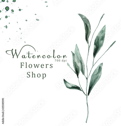 Watercolor floral on white background 700 dpi Similar illustration leaf geen color