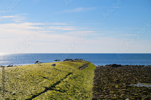 Ile de Ré - Landing stage at the north coast