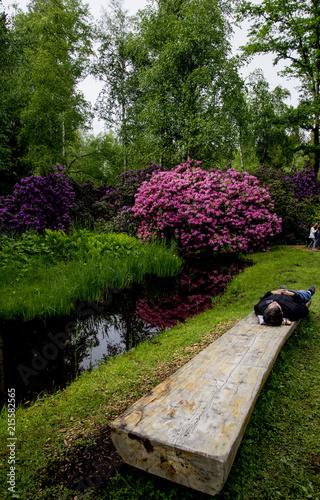 A dead log of wood has a dead tired man relaxing on the same, Probably taking a break from the vagaries of life.The backdrop of beautiful blooms, tall trees and a pond with the grass Island looks cool