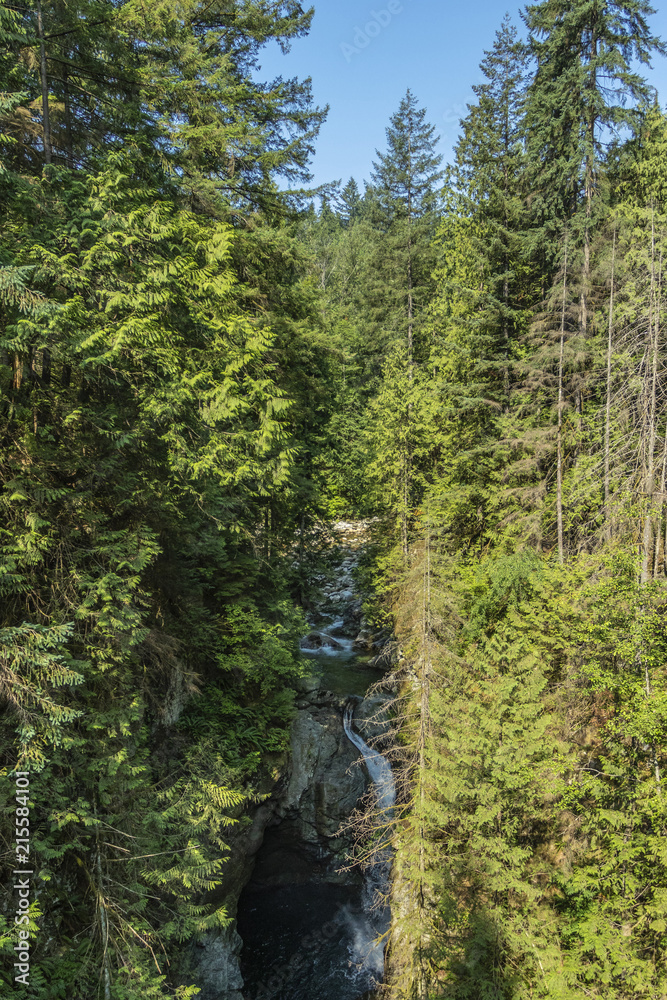 rocky river with waterfall in the forest at lynn canyon park