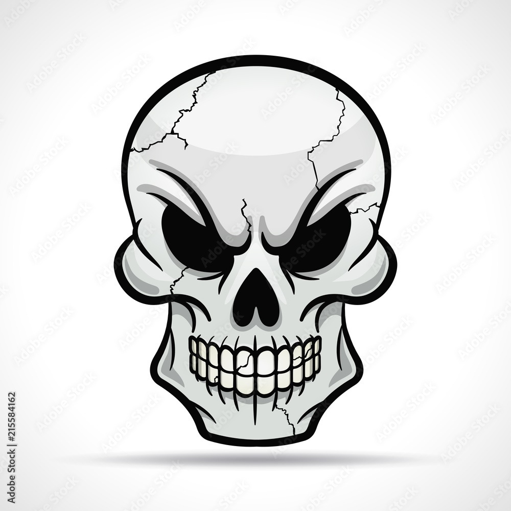 Vector skull on white background