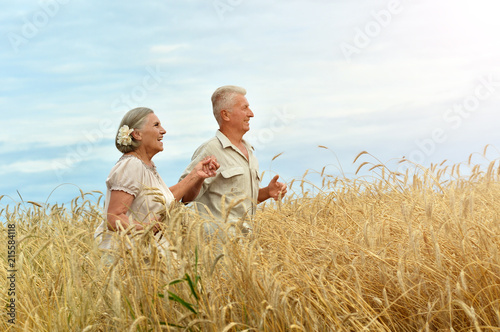 Senior couple resting at summer field