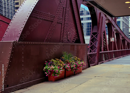 Potted flower garden along the Clark Street bridge structure in downtown Chicago Loop.