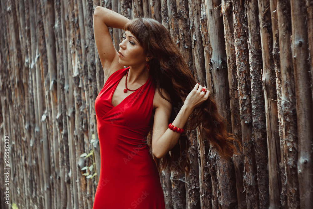 Fototapeta premium girl in a dress at a wooden fence