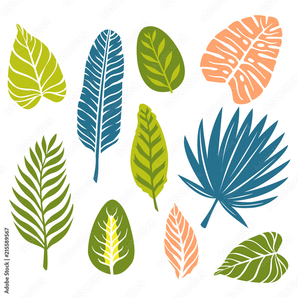 Set of Hand Drawn Doodle Tropical Leaves. Vector Illustration. Set of Hand Drawn Doodle Tropical Leaves. Vector Illustration.