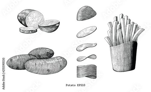 Potatoes hand draw vintage clip art isolated on white background