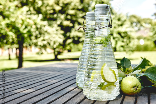 Bilde på lerret Refreshing infused water with apple slices