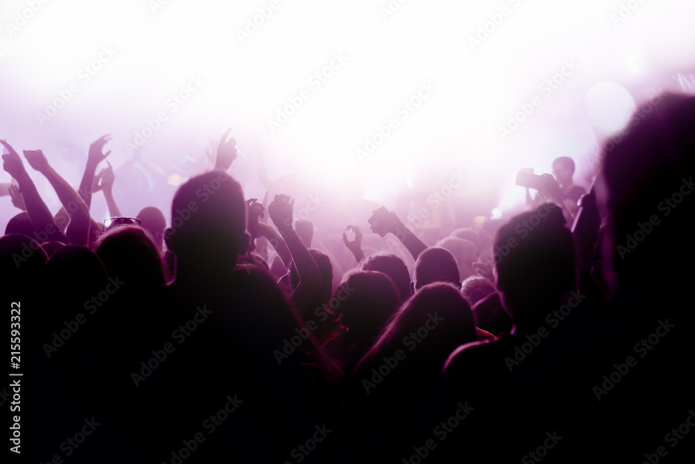 Crowd at concert - summer music festival Crowd at concert - summer music festival