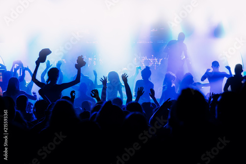 Crowd at concert - summer music festival © zorandim75