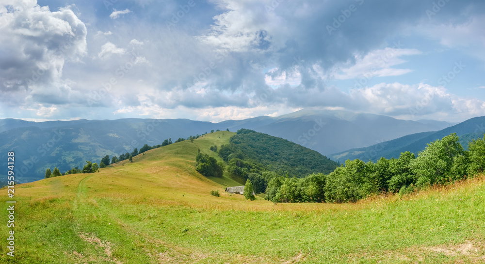 Glade on mountain crest with forest on slopes in Carpathians