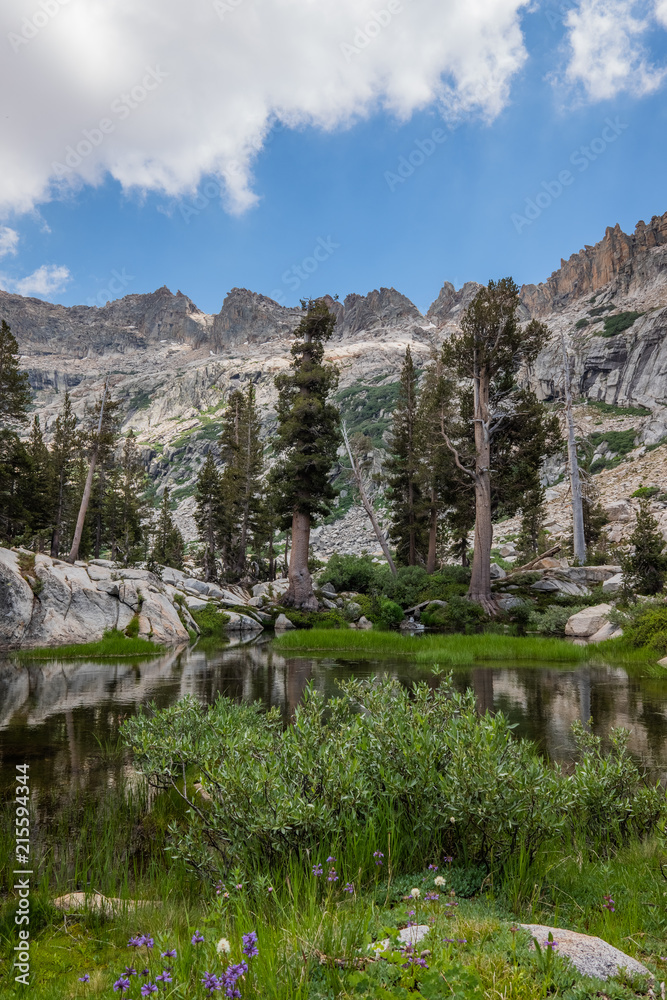 Sequoia National Park