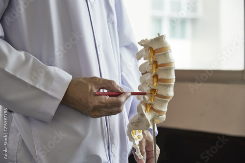 A neurosurgeon  pointing at lumbar vertebra model in medical office photo