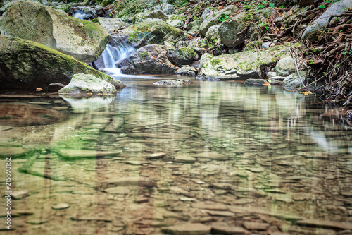 Mountain river flowing through the green forest