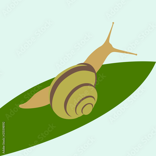 snail on leaf vector illustration flat style front 