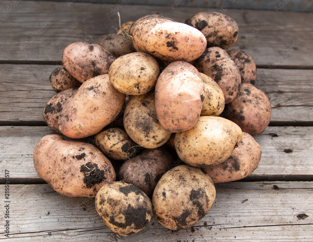 fresh potatoes on a wooden background fresh potatoes on a wooden background