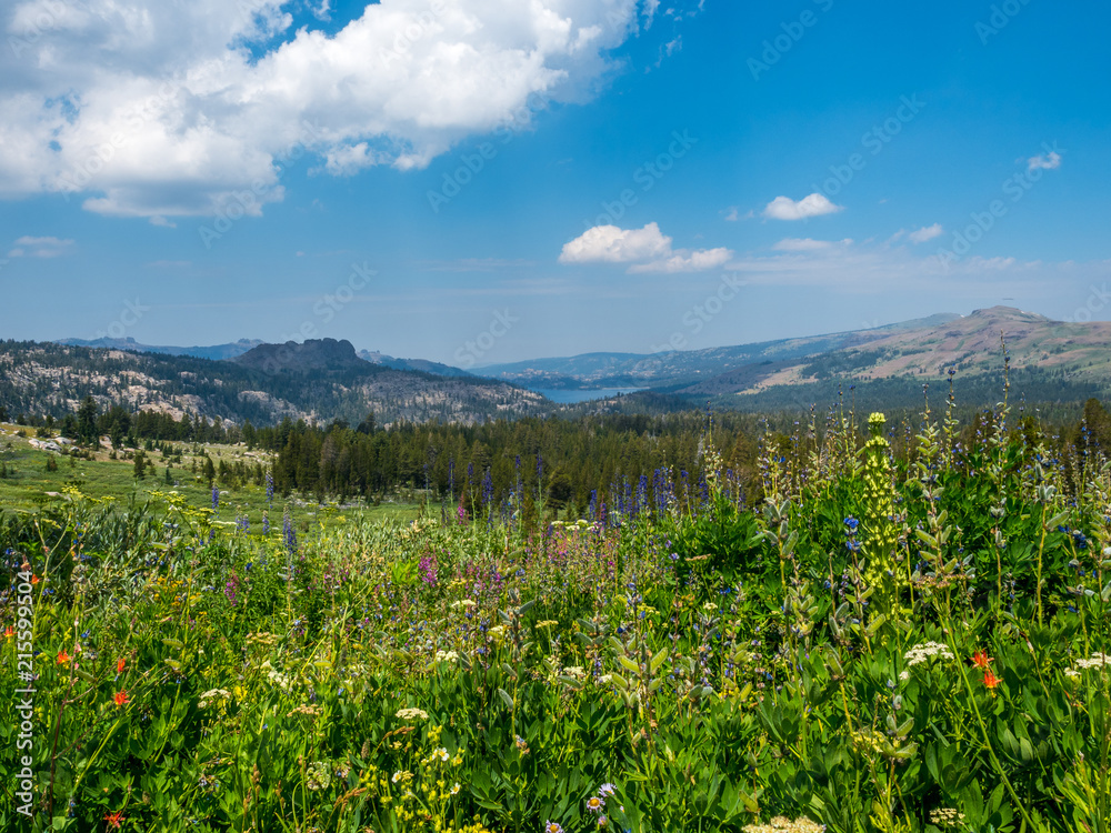 WINNEMUCCA LAKE