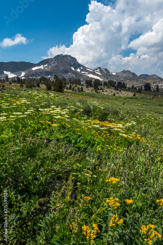 WINNEMUCCA LAKE photo