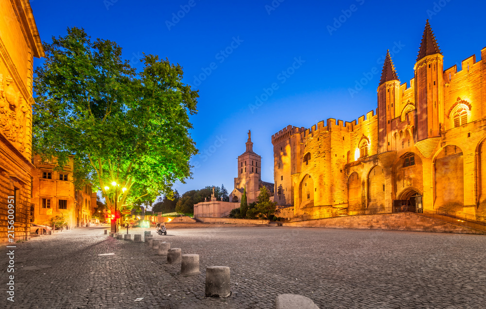 Fototapeta premium Avignon, Provence, France - Popes Palace