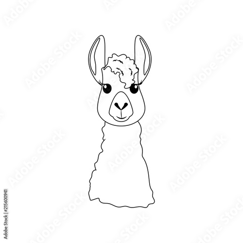 Llama head illustration