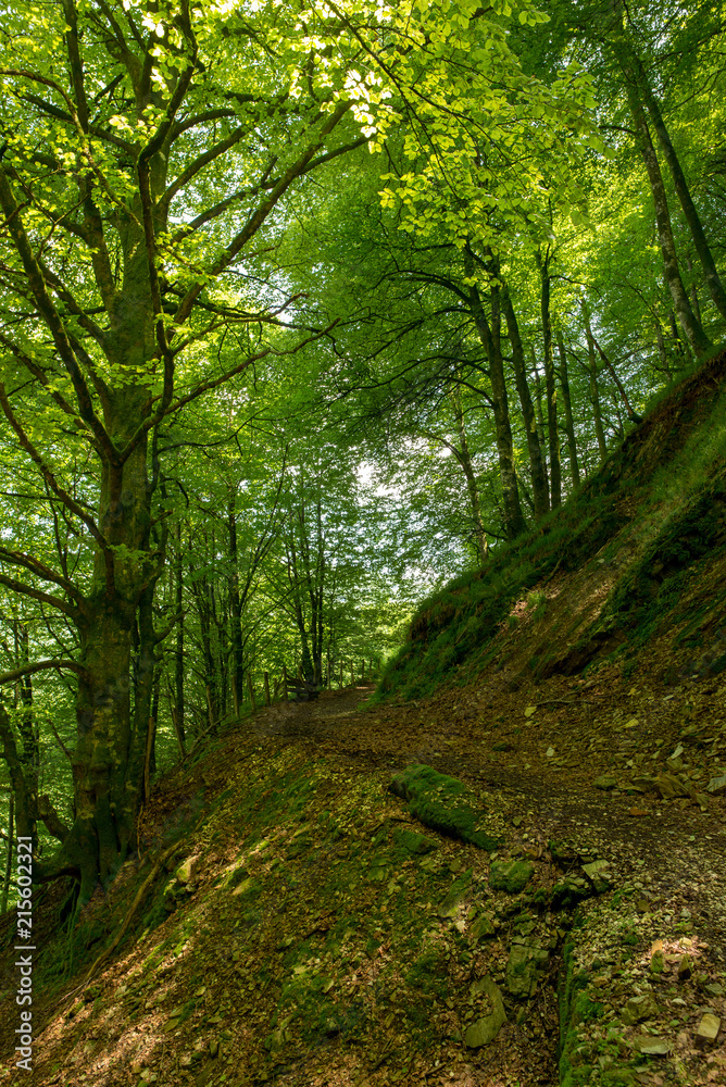 Way of santiago in the pirneos by valcarlos Way of santiago in the pirneos by valcarlos