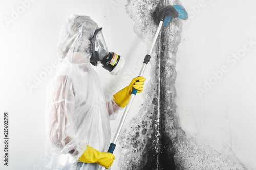 A professional disinfector in overalls processes the walls from mold with a brush. Removal of black fungus in the apartment and house. Aspergillus.. photo