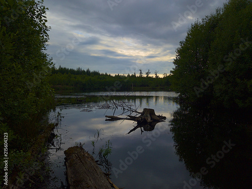 Store Damm artificial lake located in Fulltofta Nature Reserve in Sweden. Shot during cloudy day.
