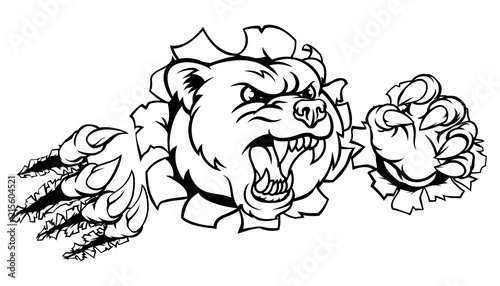 Bear Background Claws Breakthrough
