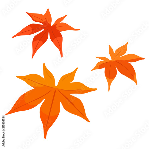 綺麗な赤やオレンジ色に色づくもみじの葉のイラスト
