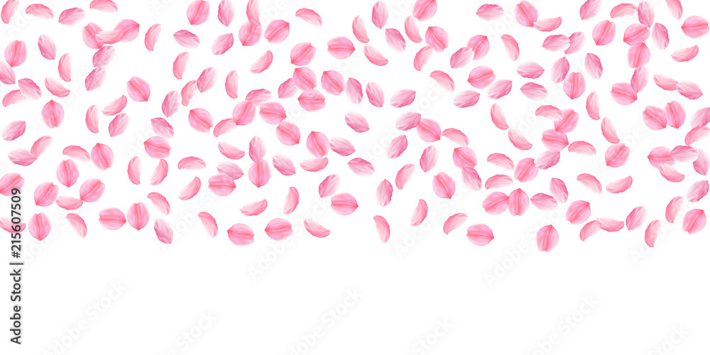 Sakura petals falling down. Romantic pink silky medium flowers. Sparse flying cherry petals. Wide to