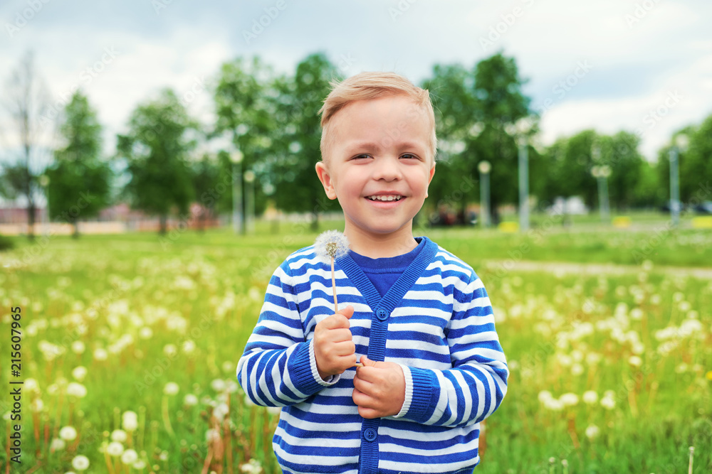 Happy kid standing in grass with dandelions. Portrait happy child outdoors in nature summer day, vacation. Emotion face little boy. Background green grass. Joyful childhood. Lifestyle. Happy kid standing in grass with dandelions. Portrait happy child outdoors in nature summer day, vacation. Emotion face little boy. Background green grass. Joyful childhood. Lifestyle.