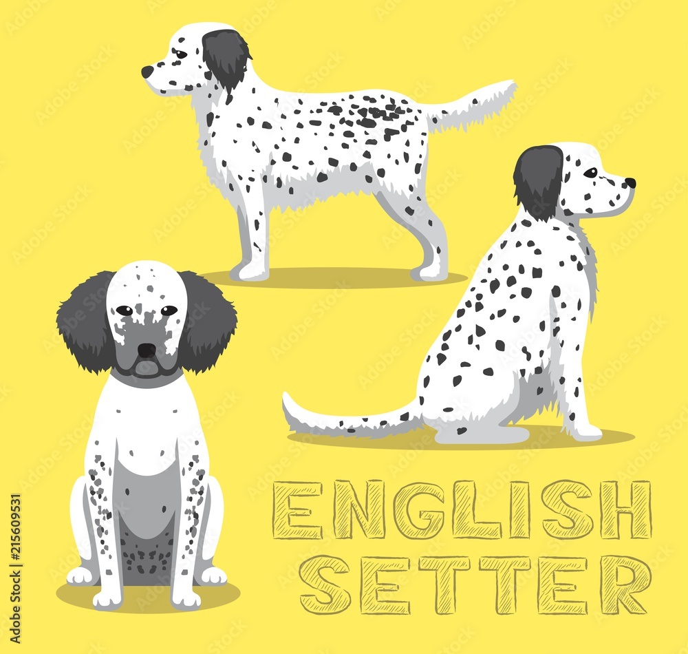 Dog English Setter Cartoon Vector Illustration
