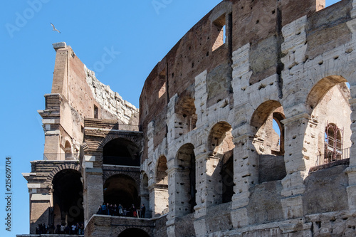 Roma, Colosseo photo