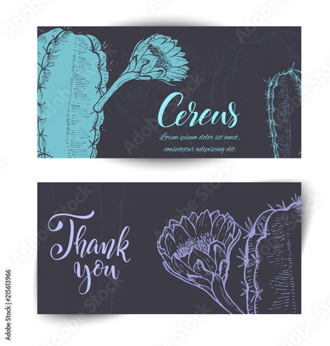 Hand drawn cacti banners photo