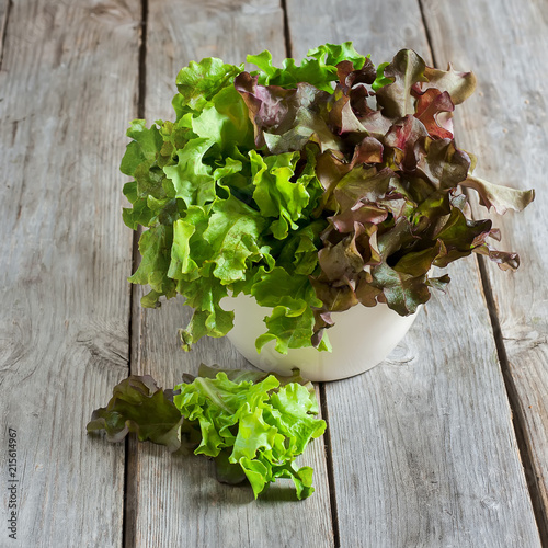 Green salad photo